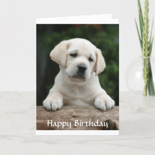 Bonne carte de marionnette d'anniversaire Labrador