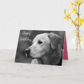 Bonne carte de marionnette d'anniversaire Labrador (Fleur jaune)