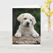 Bonne carte de marionnette d'anniversaire Labrador (Fleur jaune)