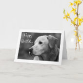 Bonne carte de marionnette d'anniversaire Labrador (Fleur jaune)