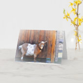 Bonne carte de note de chèvre (Fleur jaune)