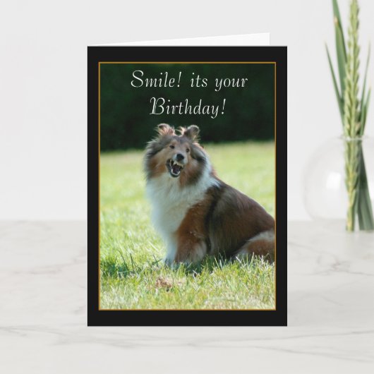Bonne carte de voeux Birthday Shetland Sheepdog (Devant)