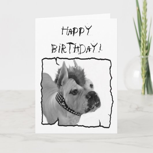 Bonne carte de voeux Birthday White Boxer Punk (Devant)