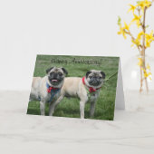 Bonne carte de voeux Carlin Anniversaire (Fleur jaune)