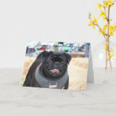 Bonne carte de voeux Carlin noir anniversaire (Fleur jaune)