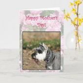 Bonne carte de voeux chien Schnauzer Fête des Mère (Fleur jaune)