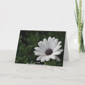 Bonne carte de voeux d'anniversaire (Dos)