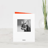 Bonne carte de voeux d'anniversaire Chihuahua Chio (Dos)