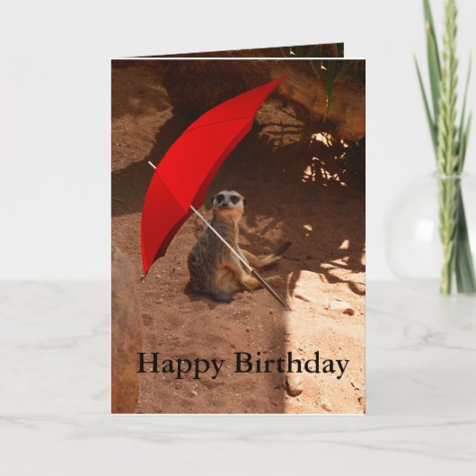 Bonne carte de voeux d'anniversaire Meerkat (Devant)