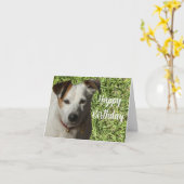 Bonne carte de voeux d'anniversaire mignonne chien (Fleur jaune)