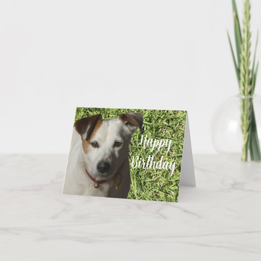 Bonne carte de voeux d'anniversaire mignonne chien (Devant)