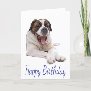 Bonne carte de voeux d'anniversaire St Bernard Chi