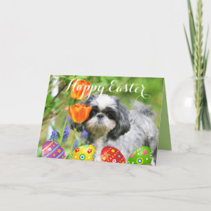 Bonne carte de voeux de Pâques Shih Tzu Girl