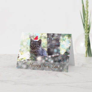 Bonne Carte de voeux du Nouvel An, Standard Kitten