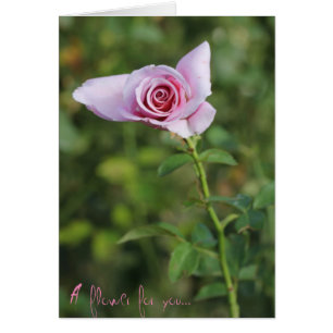 Bonne carte de voeux du Rose de la fête des mères