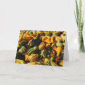 Bonne Carte de voeux Gourds Harvest (Dos)