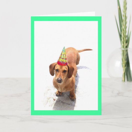 Bonne carte de voeux pour anniversaire Dachshund (Devant)