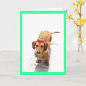 Bonne carte de voeux pour anniversaire Dachshund (Fleur jaune)