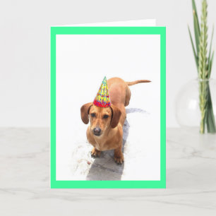 Bonne carte de voeux pour anniversaire Dachshund