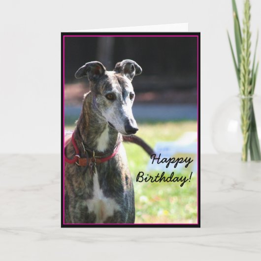 Bonne carte de voeux pour anniversaire Greyhound (Devant)