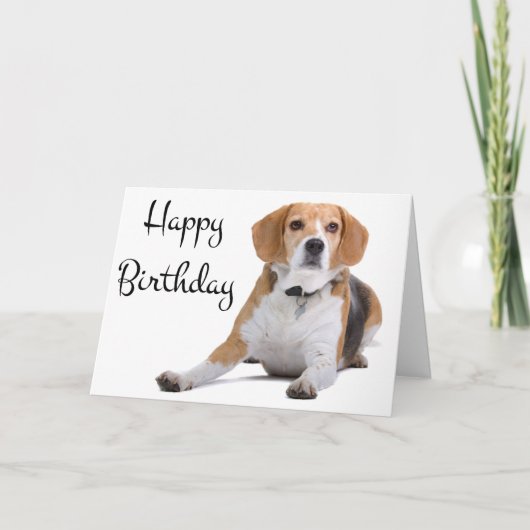 Bonne carte de voeux pour Beagle d'anniversaire Pu (Devant)