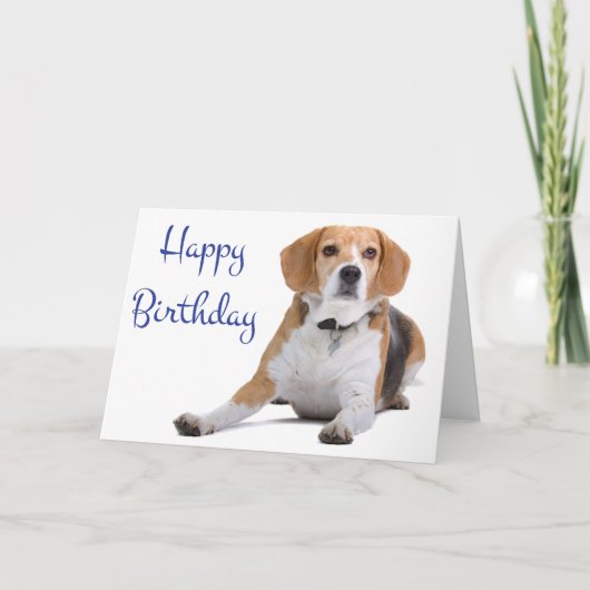 Bonne carte de voeux pour Beagle d'anniversaire Pu (Devant)