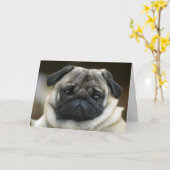 Bonne carte de voeux pour Carlin d'anniversaire Ch (Fleur jaune)