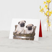 Bonne carte de voeux pour Carlin d'anniversaire Ch (Fleur jaune)