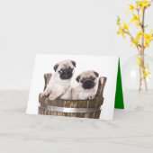 Bonne carte de voeux pour Carlin d'anniversaire Ch (Fleur jaune)