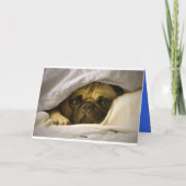 Bonne carte de voeux pour Carlin d'anniversaire Ch (Dos)