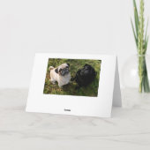 Bonne carte de voeux pour Carlin d'anniversaire Ch (Dos)