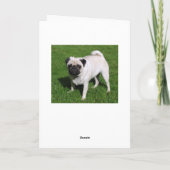 Bonne carte de voeux pour Carlin d'anniversaire Ch (Dos)