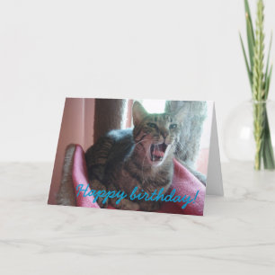 Bonne carte de voeux pour chat d'anniversaire