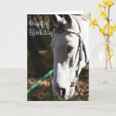 Bonne carte de voeux pour Cheval Blanc Anniversair (Fleur jaune)