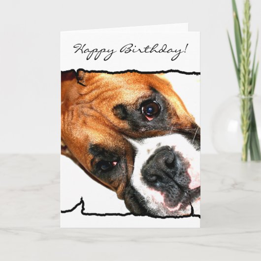 Bonne carte de voeux pour chien Birthday Boxer (Devant)