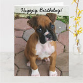 Bonne carte de voeux pour chiot Boxer anniversaire (Fleur jaune)