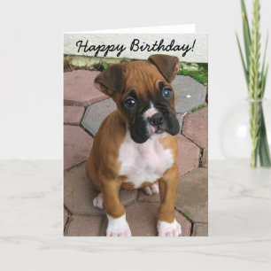 Bonne carte de voeux pour chiot Boxer anniversaire