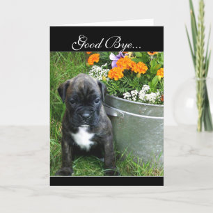 Bonne carte de voeux pour chiot Bye Boxer