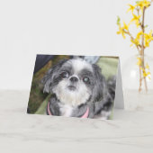 Bonne carte de voeux pour fille Shih Tzu (Fleur jaune)