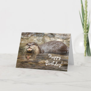 Bonne carte de voeux pour la loutre d'anniversaire