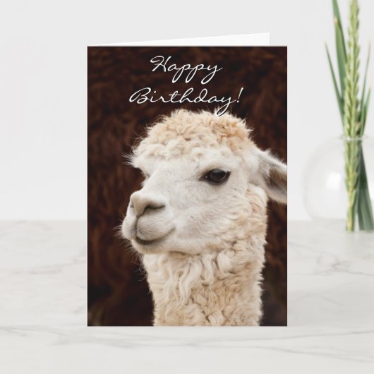 Bonne carte de voeux pour lama d'anniversaire (Devant)
