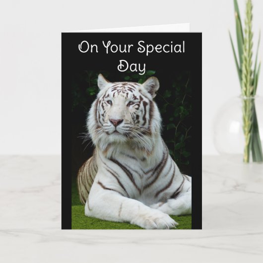 Bonne carte de voeux pour l'anniversaire de Tigre (Devant)