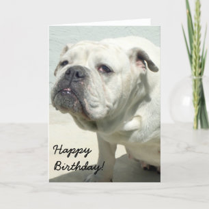 Bonne carte de voeux pour l'anniversaire White Bul