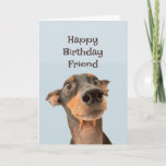 Bonne carte d'Humour d'anniversaire Ami Funny Chie<br><div class="desc">Joyeux Ami d'anniversaire nous avons traversé beaucoup de choses ensemble et la plupart était de votre faute. mignon chien traumatisé à la recherche</div>