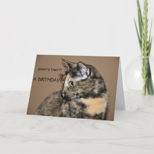 Bonne carte Kitty Anniversaire