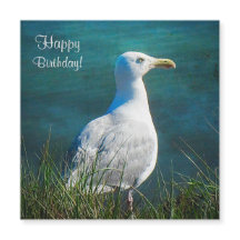 Bonne carte magnétique Seagull Anniversaire