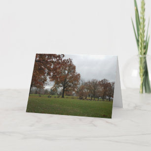 Bonne carte Morbid Anniversaire