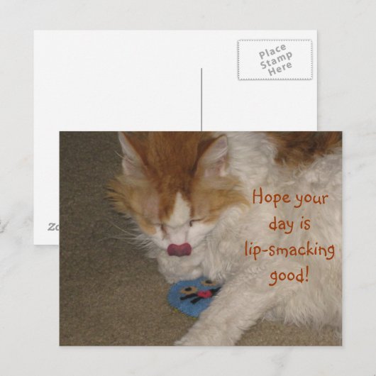 Bonne carte postale (Devant / Derrière)