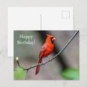 Bonne carte postale Cardinal d'anniversaire (Devant / Derrière)