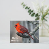 Bonne carte postale Cardinal d'anniversaire (Debout devant)